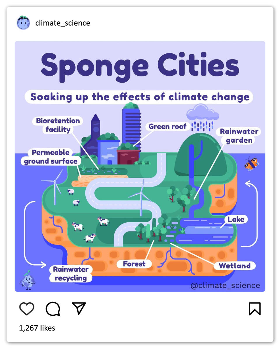 Vector illustration of a diagram of the Sponge Cities concept. The illustration shows an island floating on water. The side of the island is made of sponge while the top of the island has green grass, tall buildings, a road, river, farm animals.
