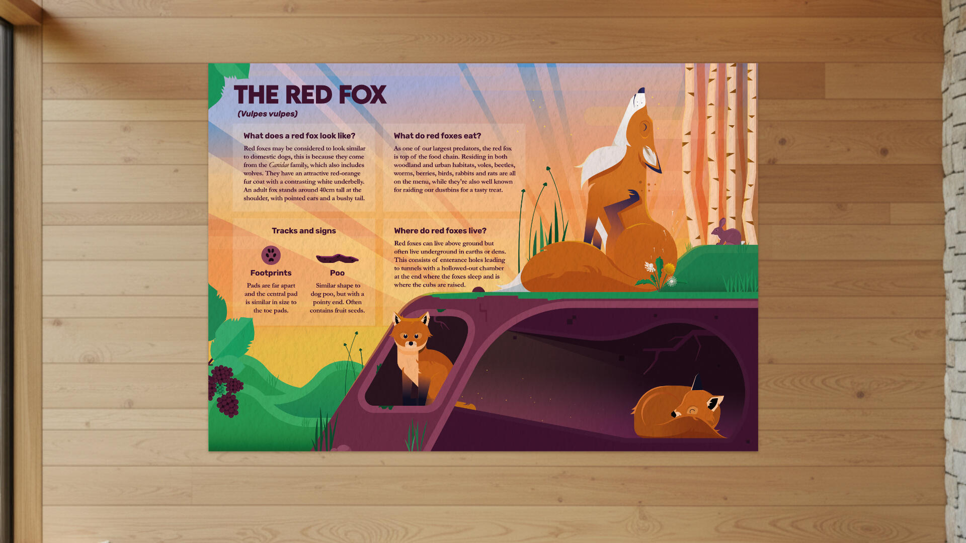 Illustrated fox fact poster